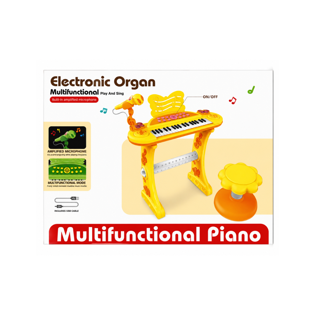 Electronic Organ