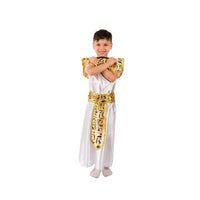 Pharaoh Costume For Boys