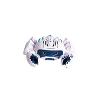 Dancing Crab