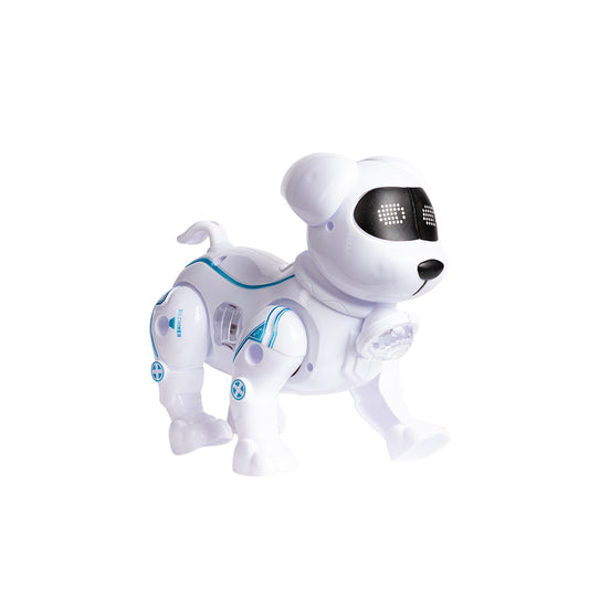 ball dog