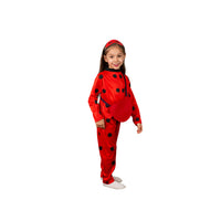 Miraculous Costume