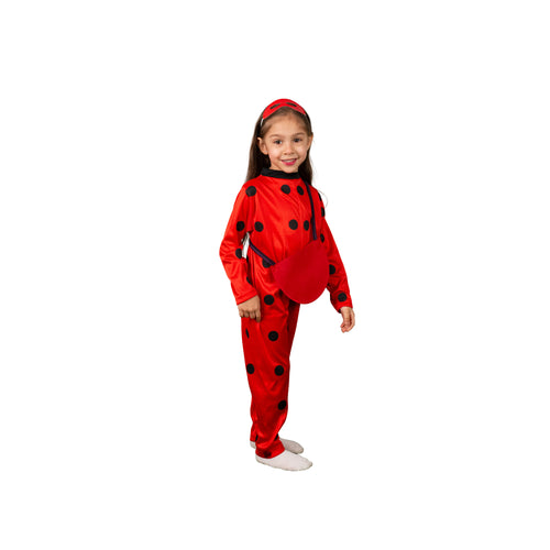 Miraculous Costume