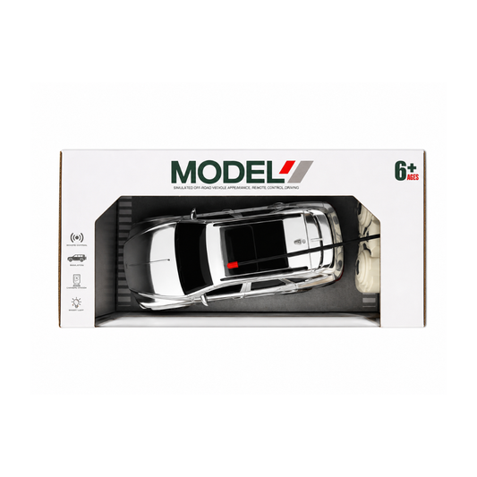 Model car