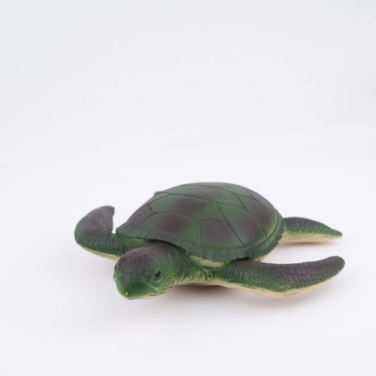 Turtle With Sound