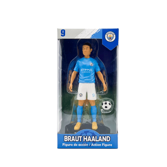 braut haaland player